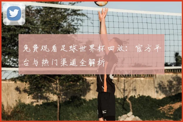 免费观看足球世界杯回放:官方平台与热门渠道全解析